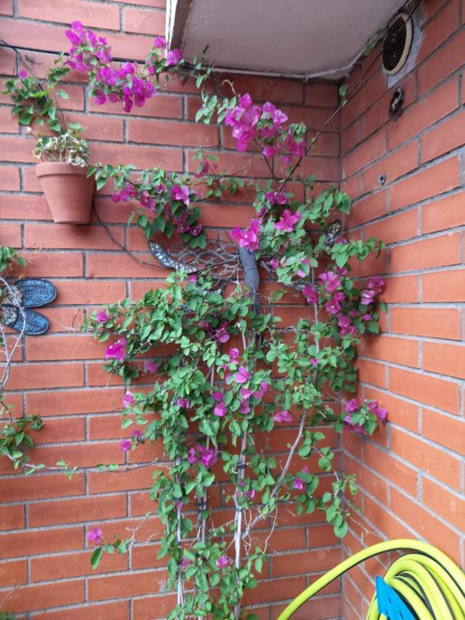 Atico Isaac Albeniz Apartment ลาปีเนดา ภายนอก รูปภาพ